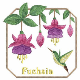 APE Fuchsia 2 - 10