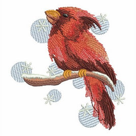 APE Winter Cardinal