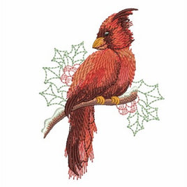 APE Winter Cardinal