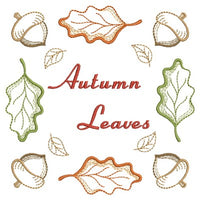 APE Autumn Oak Bundle Set