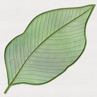 EE Stylish Tropical leaves Applique 150X150 hoop