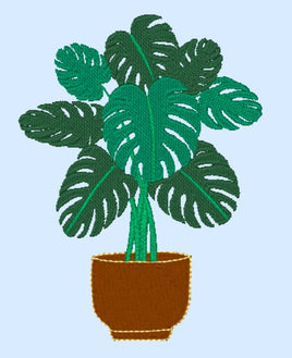 CAC Potted Plant Design