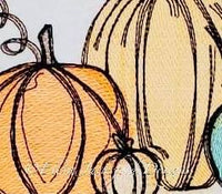 EJD Fall Pumpkin sketch