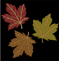 AGD 9142 Fall Leaves