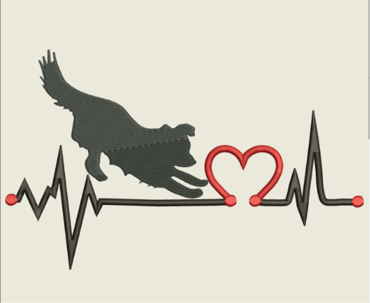 AGD 9554 Border Collie Heartbeat