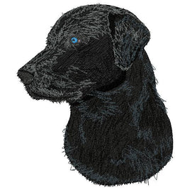 DED Labrador dog portrait