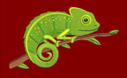 SD Chamelon Lizard