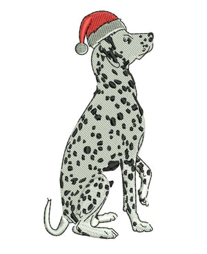 SD Dalmatian Dog wear Christmas cap