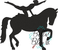 BBE Horse Vaulting 2