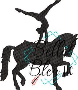 BBE Horse Vaulting 1
