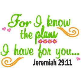 NNK Jeremiah 29:11 I know the plans saying