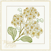 TD - T1855 Bridal Wreath design as well as quilt block