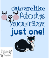 VC Cat Phrase