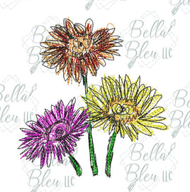BBE Gerber Daisy Flower Scribble Sketch