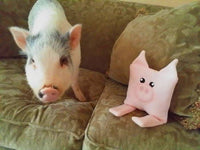 NNK Prissy the Pig  Pillow ITH stuffie