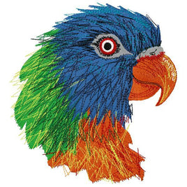 DED Colorful Exotic Parrot