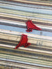 DBB Cardinal Outline Earrings embroidery design