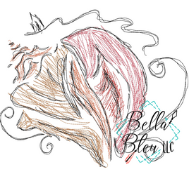 BBE Seashell 1 Scribble Sketchy